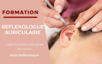 Formation Réflexologie auriculaire