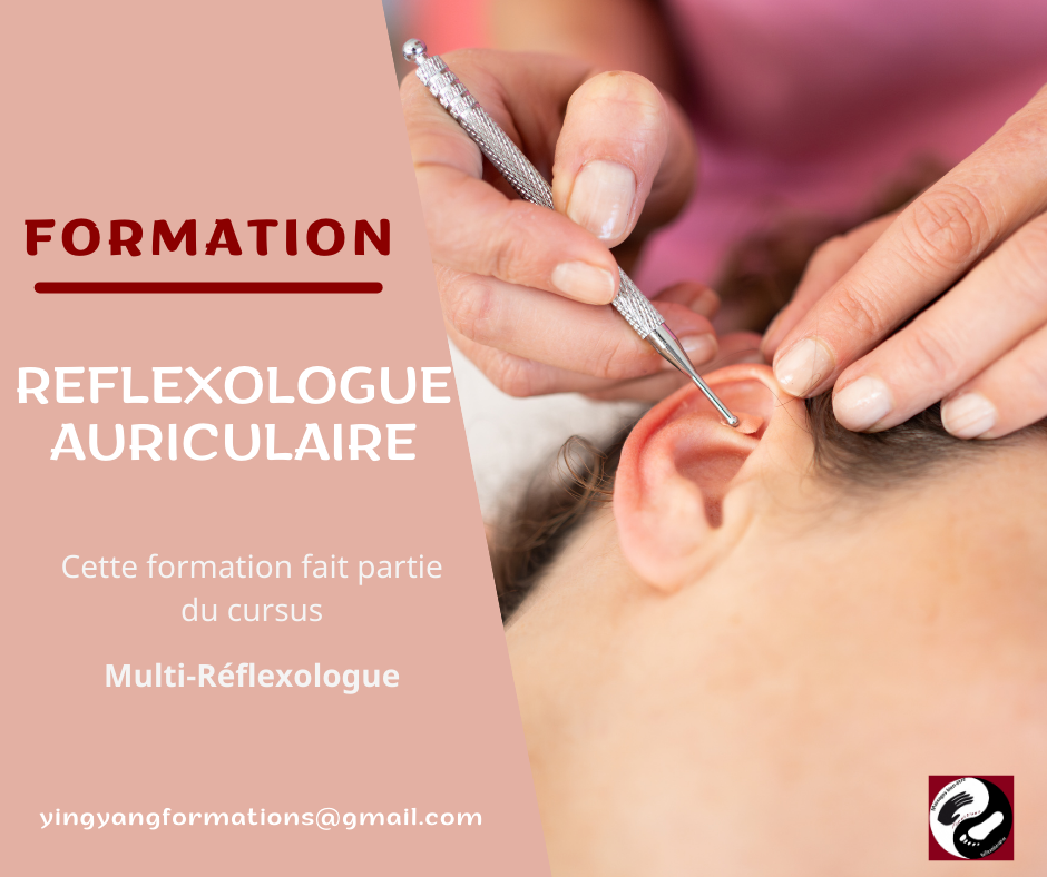 Formation Réflexologie Auriculaire