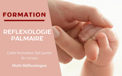 Formation Initiation à la Réflexologie Palmaire