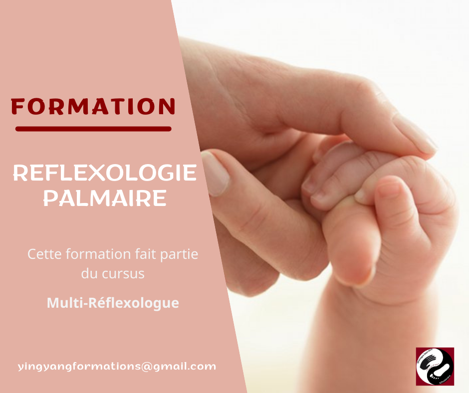 Formation Réflexologie Palmaire