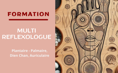 Formation Multi-Réflexologue