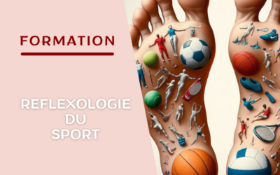 Formation Réflexologie du Sport