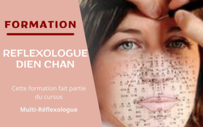 Formation Réflexologue Dien Chan