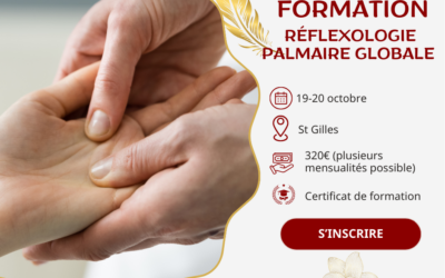 Formation Réflexologie Palmaire Globale