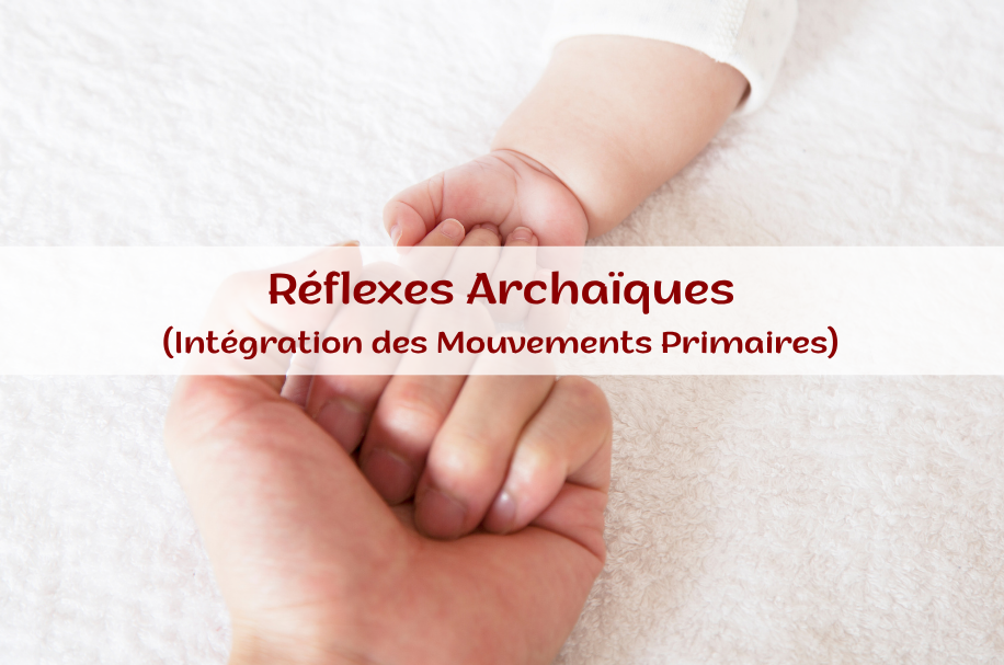 Formation Réflexes Archaïques IMP